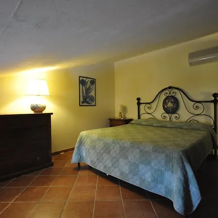 Erba Di Campo 3* Quercianella