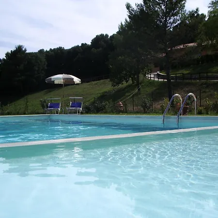 Erba Di Campo 3* Quercianella