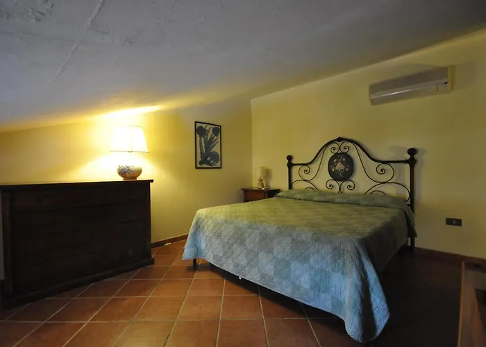 Erba Di Campo 3* Quercianella