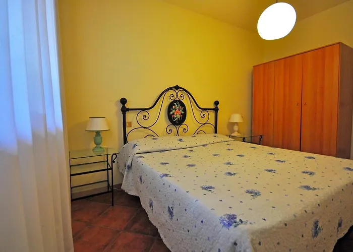 Erba Di Campo